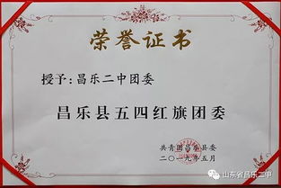 271教育结硕果，昌乐二中共青团工作获多项荣誉